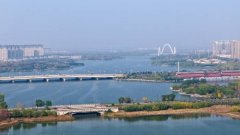 <strong>占建议总数的96.59%；基本</strong>